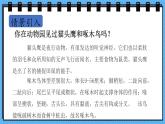 冀教版數(shù)學(xué)三年級(jí)上冊(cè)2.3筆算兩位數(shù)乘一位數(shù)（1）課件