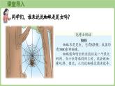 冀教版數(shù)學(xué)二年級(jí)上冊(cè)3.2.3   8的乘法口訣 (課件）