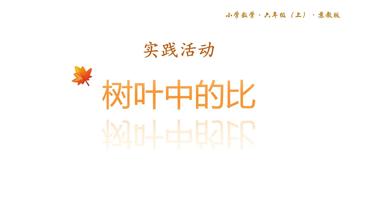 苏教版六年级数学上册《树叶中的比》公开课课件第1页