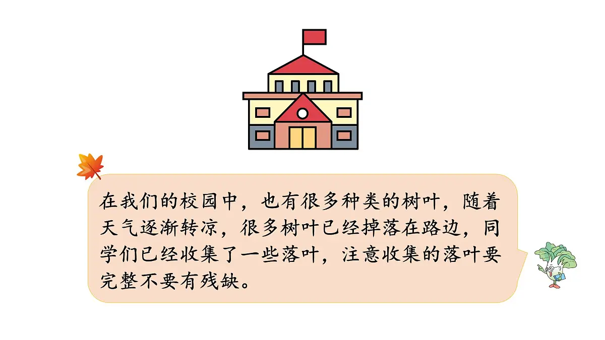 苏教版六年级数学上册《树叶中的比》公开课课件第6页