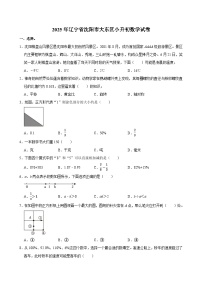 2025年辽宁省沈阳市大东区小升初数学试卷
