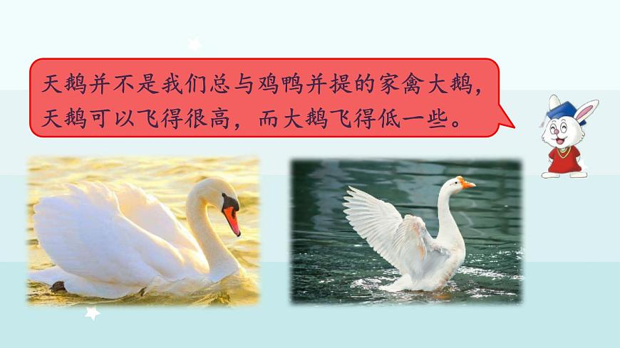 冀教版（2024）一年级数学上册课件  4.2  9加几第3页