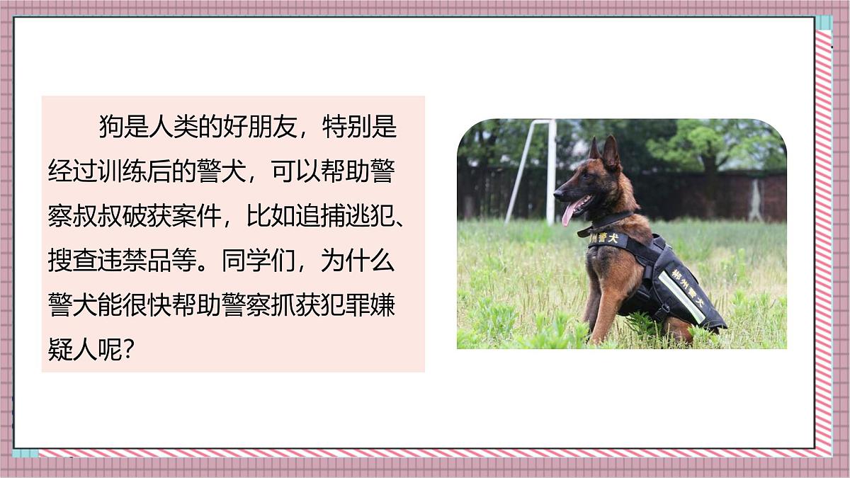 人教版数学五上1.5《积的近似数》课件第7页
