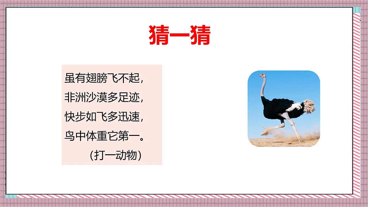 人教版数学五上1.4《用小数乘法解决问题》课件第5页