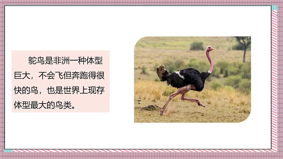 人教版数学五上1.4《用小数乘法解决问题》课件第6页