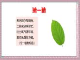 人教版數(shù)學五上6.5《解決問題（不規(guī)則圖形的面積）》課件+教案