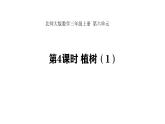 6.4 植樹(shù)(1) (課件)-2025-2026學(xué)年三年級(jí)上冊(cè)數(shù)學(xué)北師大版（2024）