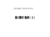 6.5 植樹(shù)(2) (課件)-2025-2026學(xué)年三年級(jí)上冊(cè)數(shù)學(xué)北師大版（2024）