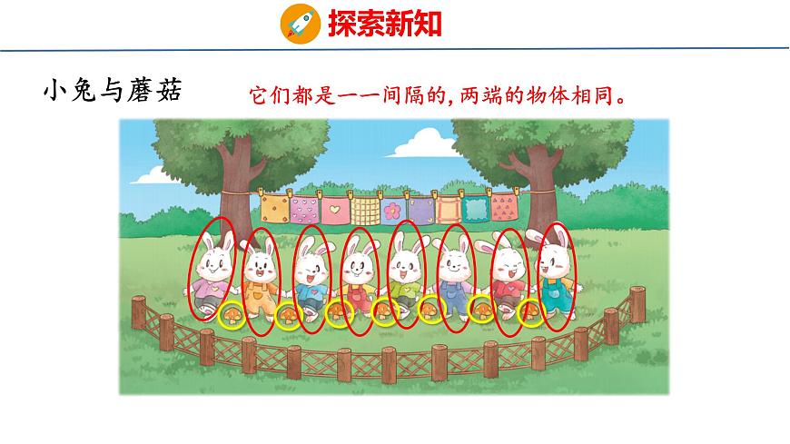 探索规律 间隔排列（课件）-2025-2026学年三年级上册数学苏教版（2024）第5页