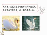 2025年冀教版一年級數(shù)學(xué)上冊 4.2  9加幾 (課件)