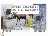 2025年冀教版一年級(jí)數(shù)學(xué)上冊(cè) 4.5  連加 (課件)