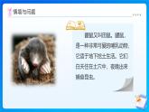 【任務型備課】北師大版四年級上冊-數(shù)學好玩3. 數(shù)圖形的學問（課件+教案+作業(yè)）