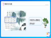 【任務型備課】蘇教版四年級上冊-3.1 觀察物體（一）（課件+教案+作業(yè)）