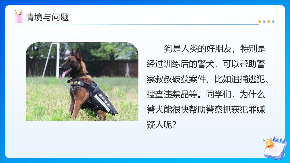 【任务型备课】人教版五年级上册-1.5 积的近似数（课件）第8页
