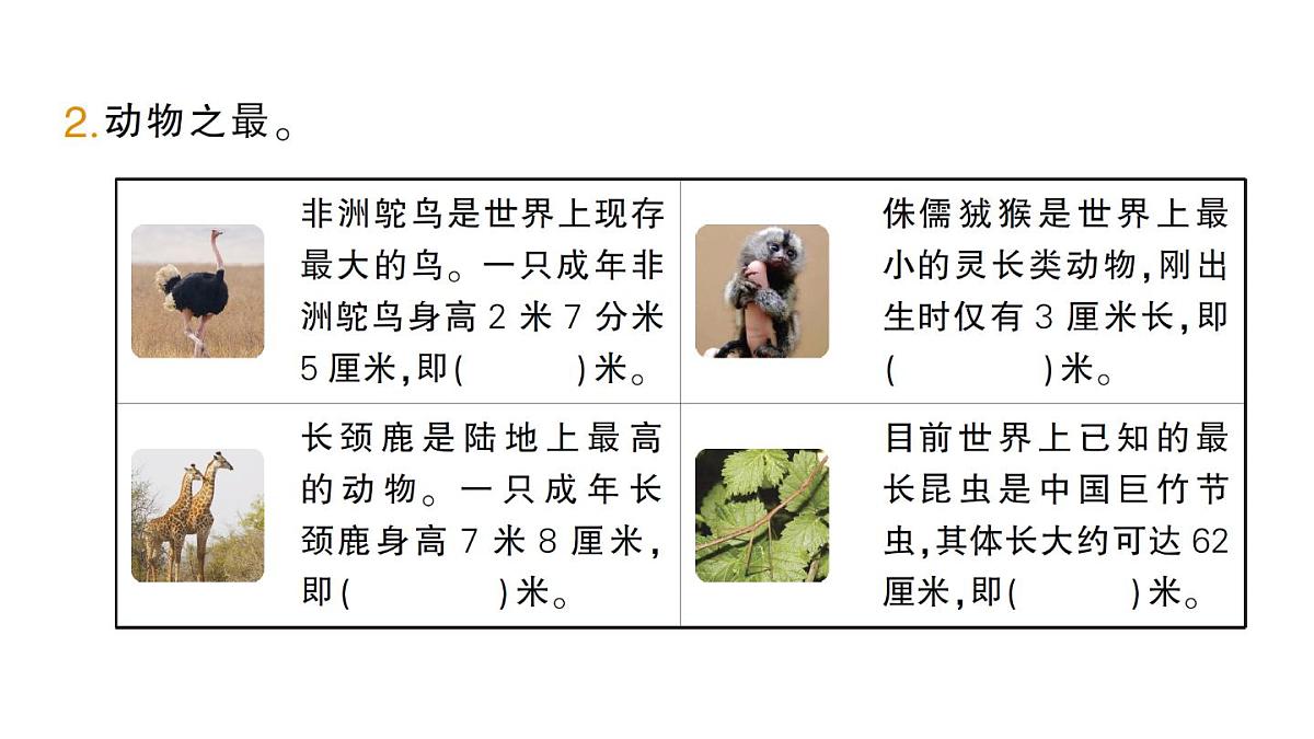 小学数学新北师大版三年级上册第七单元第二课时 量身高作业课件（2025秋）第3页