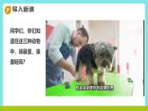 冀教版三年級上冊數(shù)學(xué)第二單元（2.筆算乘法）6《三位數(shù)乘一位數(shù)-動物的體重（二）》課件+教案