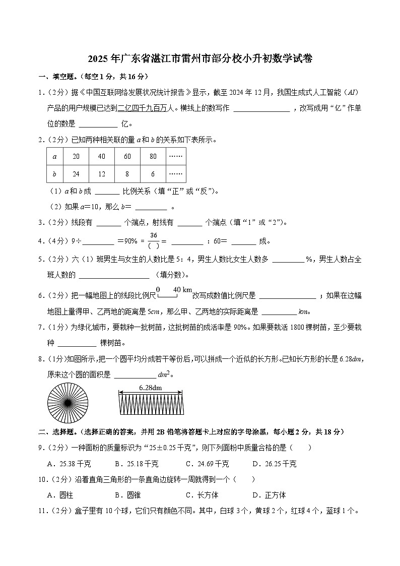 2025年广东省湛江市雷州市部分校小升初数学试卷第1页