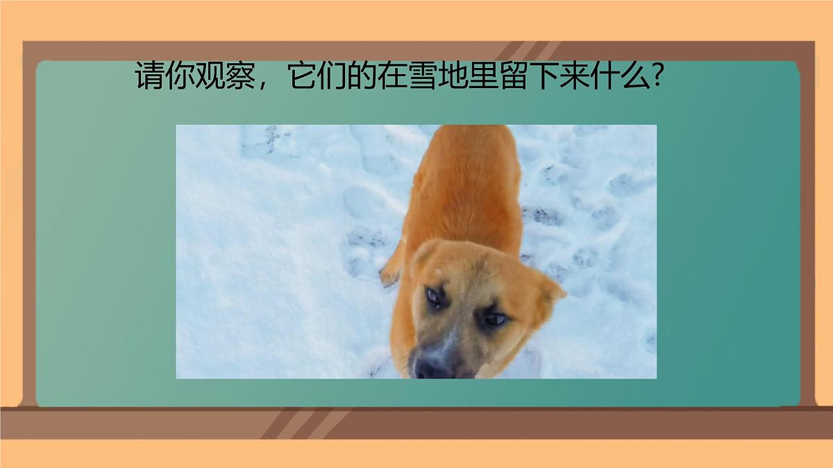2.1 认识长方形、正方形、三角形、圆（课件）-2024-2025学年苏教版数学一年级下册第6页