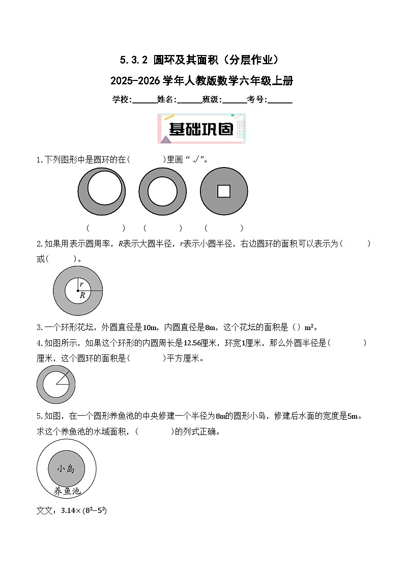 5.3.2 圆环及其面积（分层作业）2025-2026学年人教版数学六年级上册第1页