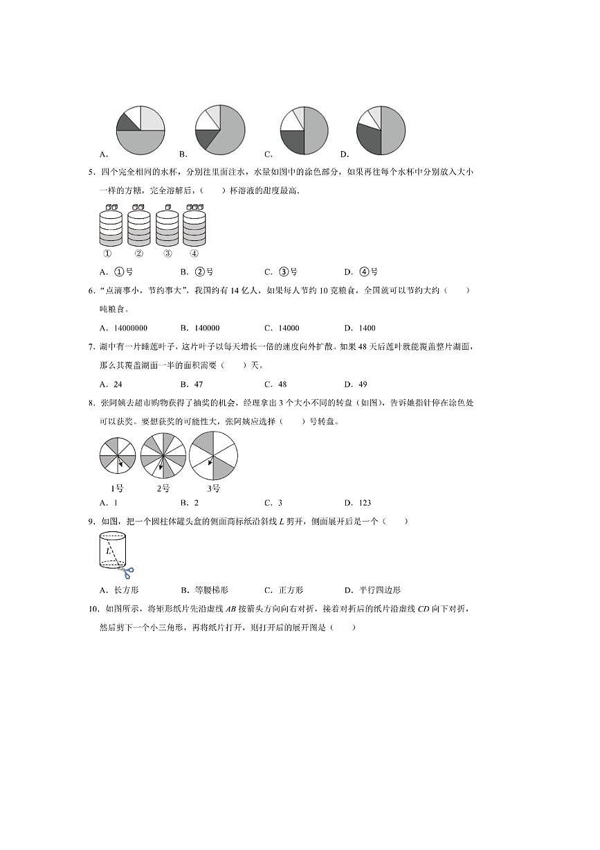 2025年(小升初择校分班考)小升初重点校择校分班考培优卷～秋六年级数学西师大版试卷(含答案解析)第2页