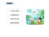 北京版数学三年级上册9.2  排鱼求数（课件）