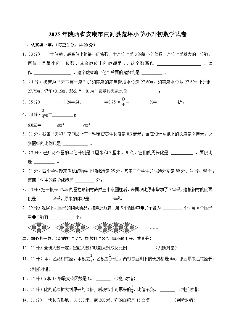 2025年陕西省安康市白河县宽坪小学小升初数学试卷第1页