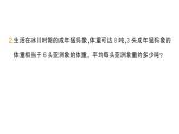 小學(xué)數(shù)學(xué)新人教版三年級上冊曹沖稱象的故事第3課時 稱重大挑戰(zhàn)作業(yè)課件（含答案）（2025秋）