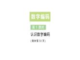小學(xué)數(shù)學(xué)新人教版三年級(jí)上冊(cè)數(shù)字編碼第1課時(shí) 認(rèn)識(shí)數(shù)字編碼作業(yè)課件（含答案）（2025秋）