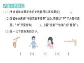 小學(xué)數(shù)學(xué)新人教版三年級上冊第五單元整理和復(fù)習(xí)（練習(xí)一十四）作業(yè)課件（含答案）（2025秋）