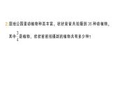 小學(xué)數(shù)學(xué)新人教版三年級(jí)上冊(cè)第六單元3進(jìn)一步認(rèn)識(shí)分?jǐn)?shù)第二課時(shí) 解決問(wèn)題作業(yè)課件（含答案）（2025秋）