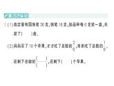 小學(xué)數(shù)學(xué)新人教版三年級(jí)上冊(cè)第七單元第二課時(shí) 數(shù)量關(guān)系作業(yè)課件（含答案）（2025秋）