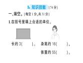 小學(xué)數(shù)學(xué)新人教版三年級上冊第一至三單元階段性綜合復(fù)習(xí)作業(yè)課件（含答案）（2025秋）