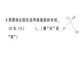 小學(xué)數(shù)學(xué)新人教版三年級(jí)上冊(cè)第五單元綜合訓(xùn)練作業(yè)課件（含答案）（2025秋）