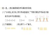 小學數(shù)學新北師大版二年級上冊第三單元易錯集錦作業(yè)課件（含答案）（2025秋）