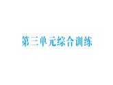 小學數(shù)學新北師大版二年級上冊第三單元綜合訓練作業(yè)課件（含答案）（2025秋）