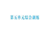 小學(xué)數(shù)學(xué)新北師大版二年級(jí)上冊(cè)第五單元綜合訓(xùn)練作業(yè)課件（含答案）（2025秋）
