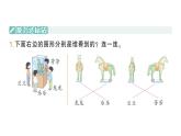 小學(xué)數(shù)學(xué)新北師大版三年級上冊第四單元第一課時 看一看(一)作業(yè)課件（含答案）（2025秋）