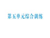 小學(xué)數(shù)學(xué)新北師大版三年級(jí)上冊(cè)第五單元綜合訓(xùn)練作業(yè)課件（含答案）（2025秋）