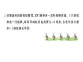 小學數(shù)學新北師大版三年級上冊第二單元整理與復習(2)作業(yè)課件（含答案）（2025秋）