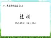 【核心素養(yǎng)】2025秋新北師大版小學數(shù)學三年級上冊 第六單元《6.4植樹》課件+教案（含教學反思）