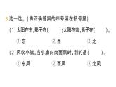 小學(xué)數(shù)學(xué)新人教版二年級上冊校園小導(dǎo)游第1課時　認(rèn)識東、南、西、北作業(yè)課件（2025秋新版）
