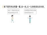 小學(xué)數(shù)學(xué)新人教版二年級(jí)上冊(cè)身體上的尺子第1課時(shí)　身體上的長(zhǎng)度作業(yè)課件（2025秋新版）