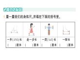 小學(xué)數(shù)學(xué)新人教版二年級(jí)上冊(cè)身體上的尺子第2課時(shí)　身體上的尺子作業(yè)課件（2025秋新版）