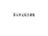 小學(xué)數(shù)學(xué)新人教版二年級(jí)上冊(cè)第五單元綜合訓(xùn)練作業(yè)課件（含答案）（2025秋新版）