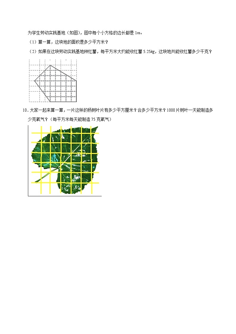 6.1.4.2用方格纸计算图形面积（进阶）小学数学五年级上册 人教新版同步分层作业（含解析）第3页