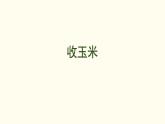 1.4 收玉米  課件 北師大版數(shù)學(xué)二年級(jí)上冊(cè)
