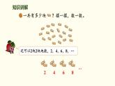 3.1 小小清點員 課件 北師大版數(shù)學(xué)二年級上冊