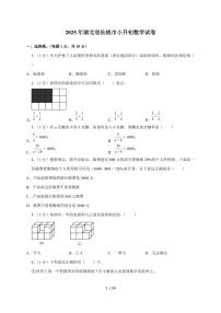 【小升初】2025年湖北省仙桃市六年级下册期末数学试题【附答案】