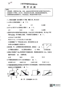 江苏省连云港市东海县2024-2025学年五年级上学期期末数学试题
