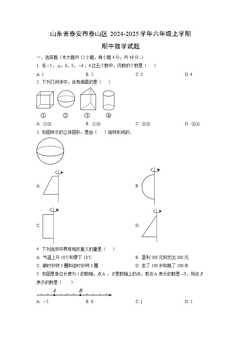 山东省泰安市泰山区2024-2025学年六年级上学期期中数学试卷（学生版）第1页